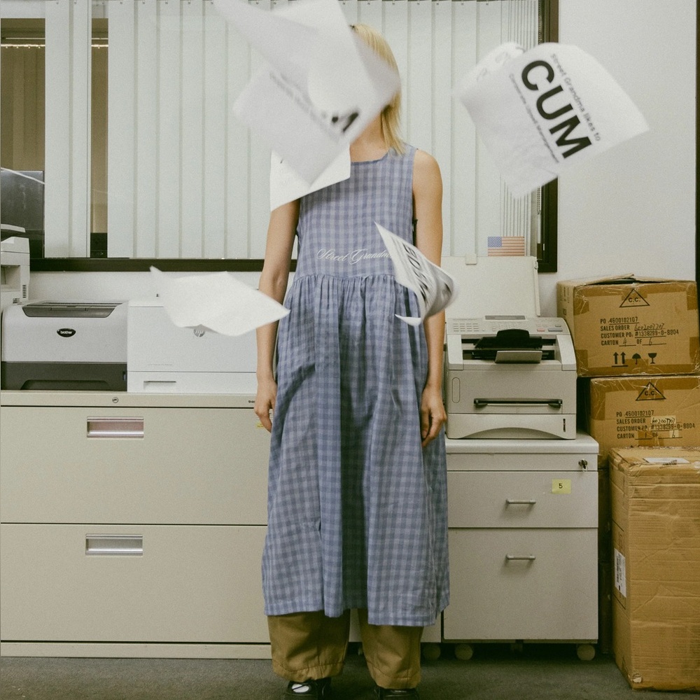 Street Grandma Gingham dress